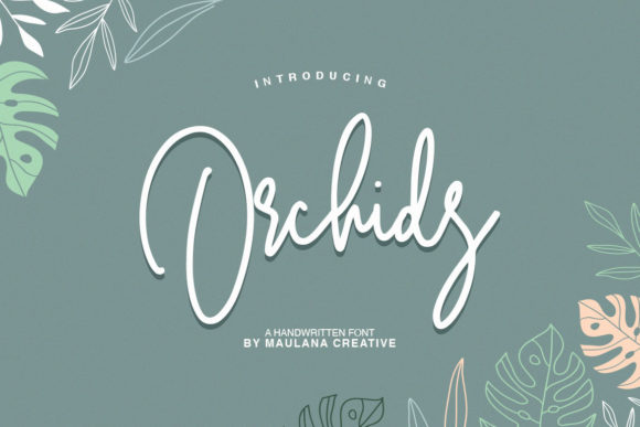 Orchids Font for Web Design Projects