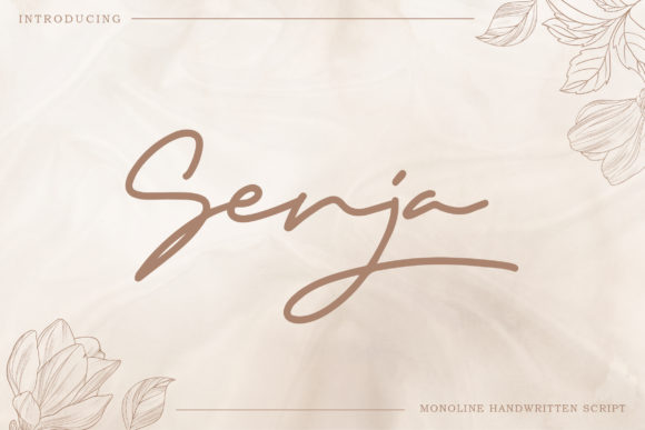 Senja: A Simple Font That Transformed My Brand's Look