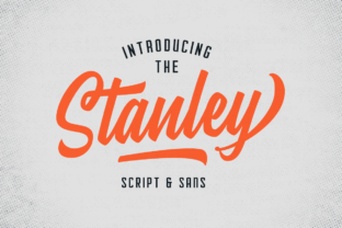 Stanley: A Playful Script Font for Modern Editorial Design