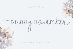 Sunny November Script Font for Web Design