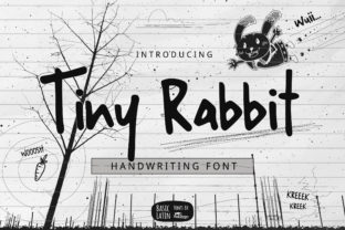 Tiny Rabbit Font for a Polished Brand Look